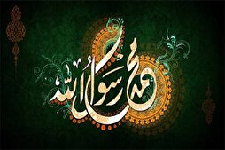 تنظيم مؤتمر 