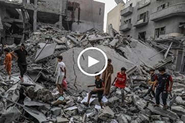 Gaza Children: How They Teach the World a Lesson
