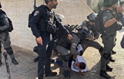 Israeli Forces Violently Attack Palestinians Celebrating Prophet Mohammad’s Birthday