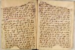 Codex Mashhad Unique in At Least Two Respects