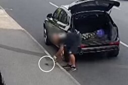 Man Charged After Releasing Rodents Near Sheffield Mosque