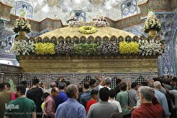 In Photos: Qom Holy Shrine Decorated with Flowers