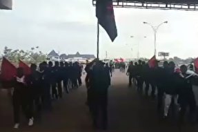 فیلم/ آئین پیاده‌روی اربعین در نیجریه