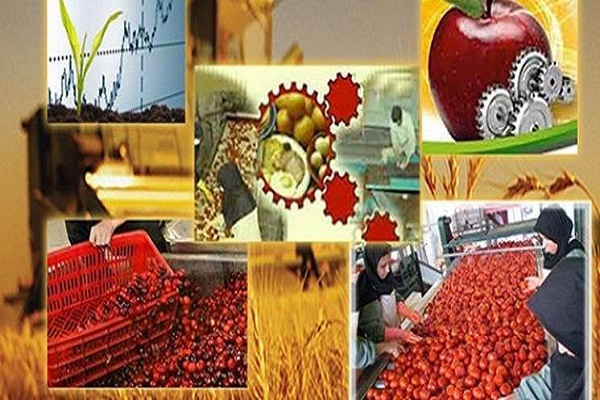 پرداخت تسهیلات اشتغال روستایی در اردبیل