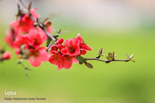 نگاه قرآن به طبیعت چگونه است؟