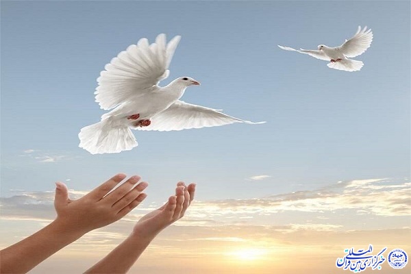 آزادی زندانیان جرائم مالی