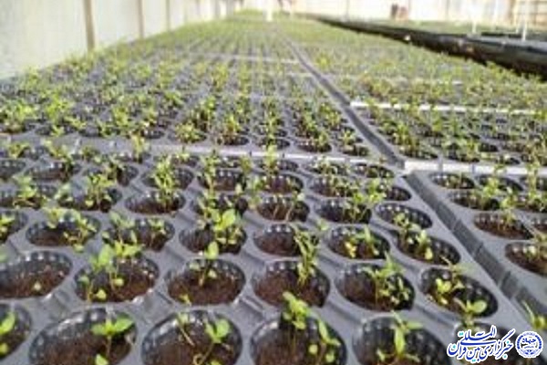 تولید ۲۲ نوع محصول دارویی در جهاددانشگاهی اردبیل