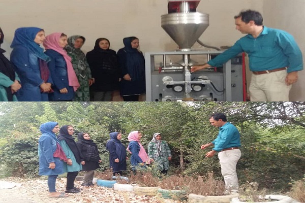 رضازاده// دوره&zwnj; آموزشی تولید و فرآوری گیاهان دارویی در گرمی برگزار شد