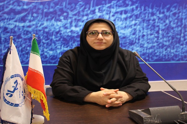 فینا محمودی ارشادی