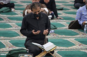 احیای شب نوزدهم رمضان در مصلای نماز جمعه بوشهر + عکس