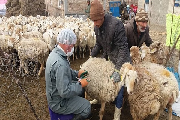 جهاد برای خدمت به عشایر محروم