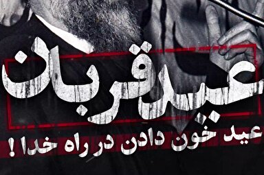 فیلم | عید قربان؛ عید خون دادن در راه خدا