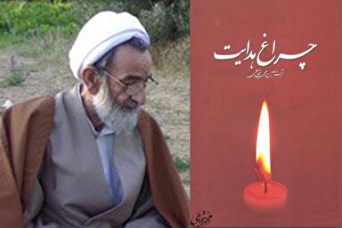 صوت | زیارت امام حسبن(ع) فریضه است