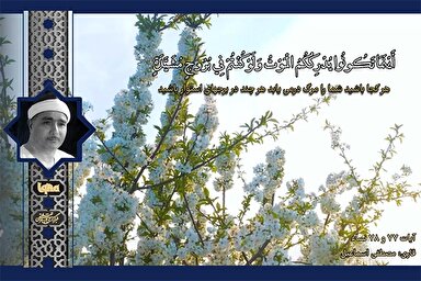 فیلم | فراز شنیدنی از تلاوت «مصطفی اسماعیل»