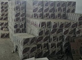 انبار احتکار کالاهای اساسی در شیراز شناسایی شد
