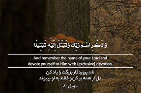 استوری‌موشن | دل از همه بر کن