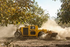 برداشت گردو اصلاح شده با دستگاه مکانیزه