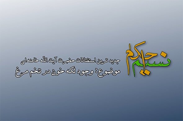 فیلم | وجود لکه خون در تخم مرغ