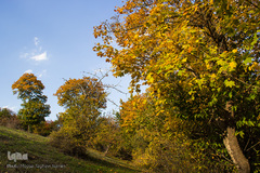 طبیعت پاییزی روستای خشه حیران نمین - اردبیل

