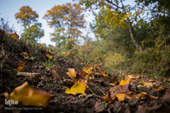 طبیعت پاییزی روستای خشه حیران نمین - اردبیل
