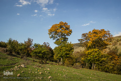 طبیعت پاییزی روستای خشه حیران نمین - اردبیل
