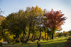 طبیعت پاییزی روستای خشه حیران نمین - اردبیل
