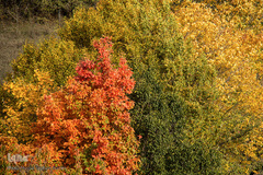 طبیعت پاییزی روستای خشه حیران نمین - اردبیل
