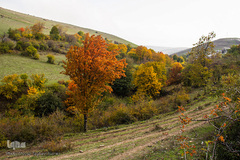 طبیعت پاییزی روستای خشه حیران نمین - اردبیل
