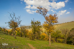 طبیعت پاییزی روستای خشه حیران نمین - اردبیل
