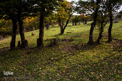 طبیعت پاییزی روستای خشه حیران نمین - اردبیل
