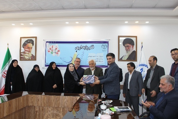 قلم پایداری