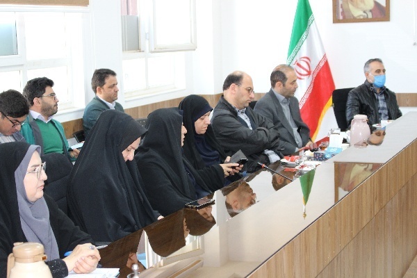 قلم پایداری