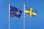 Sweden NATO na Subasta Maaaring Malagay sa Panganib ng Islamopobiko na Pahayag: Dating Sugo