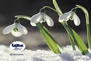 Plano / Ang mga Taong may Pananampalataya ay Masaya sa Biyaya at Awa ng Diyos