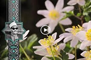 د آسماني آیتونو تلاؤت؛ دعبدالعزیز علی فرج په زړه پورې غږسره د بقرې سورې ځینی آیتونه