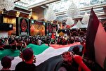 عراقی مراجع کرام کی غزه مہم کی حمایت