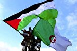 巴勒斯坦是阿尔及利亚的国家问题